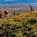 Is Phoenix Bigger Than Scottsdale?